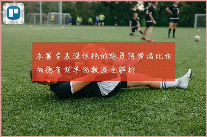 本赛季表现惊艳的球员阿努诺比伦纳德布朗单场数据全解析