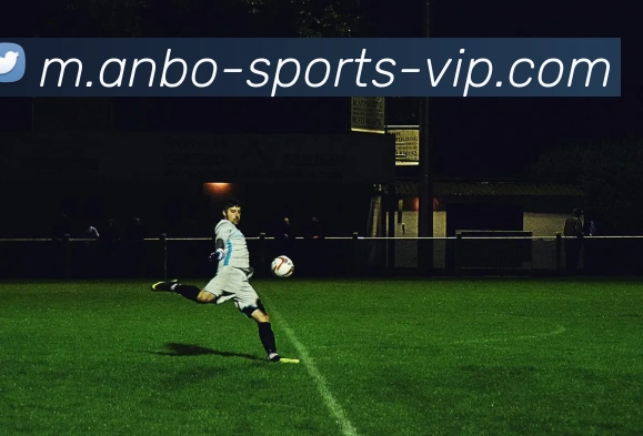 安博体育发展历程